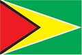 Guyana-flag Guyana-flag