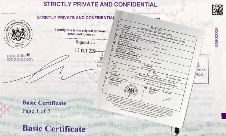 Mock-up of disclosure and barring certificate [DBS check) Mock-up of disclosure and barring certificate [DBS check)